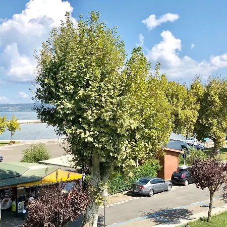 Regina Amalasunta Marta