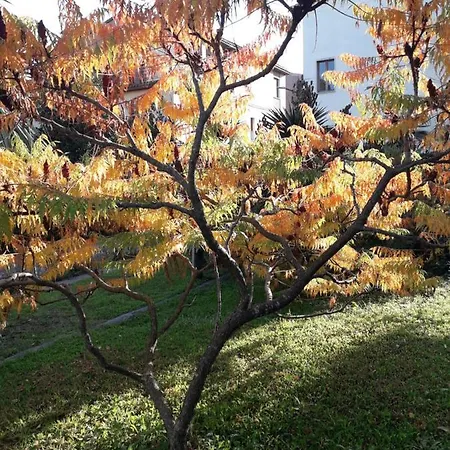 Regina Amalasunta Villa