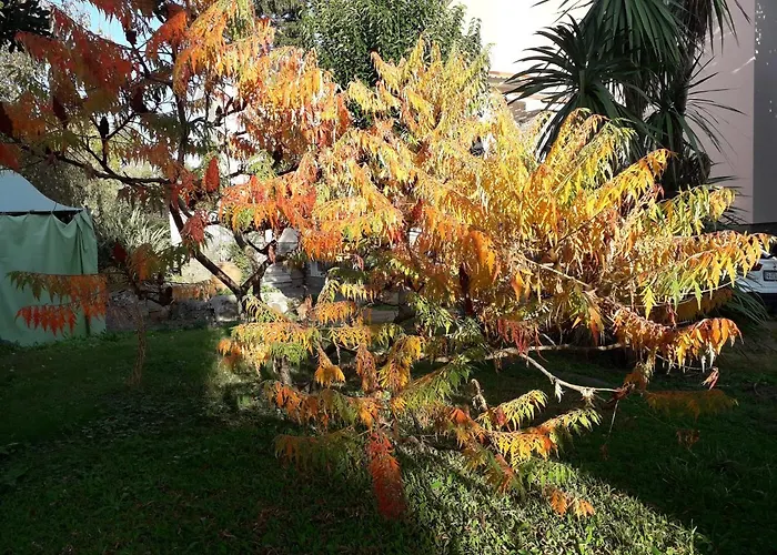 Regina Amalasunta Villa Marta